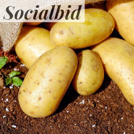 potatoes, nature, vegetables